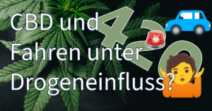 Fahren unter Drogeneinfluss (FuD): Cannabis und CBD